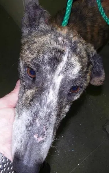 1969370 872283306122703 4113556108082137325 n