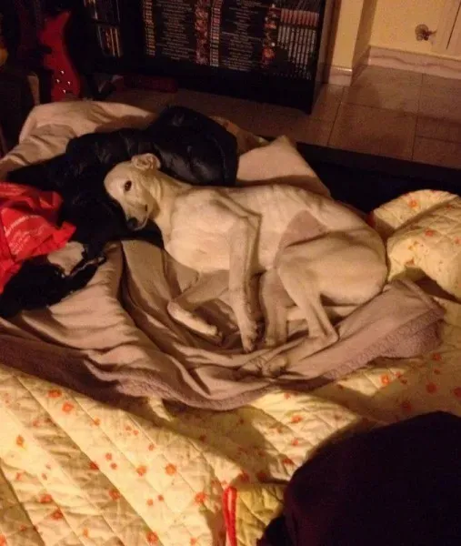 1969391 10203792931932602 446428178421058882 n