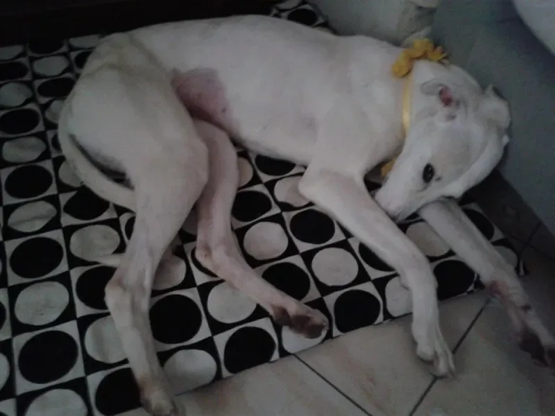 1970489 10202354354394551 674661418 n