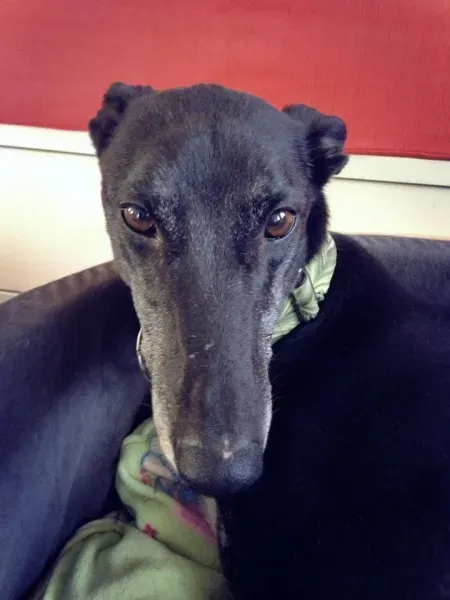 1972405 862724573745598 3566137505429942398 n