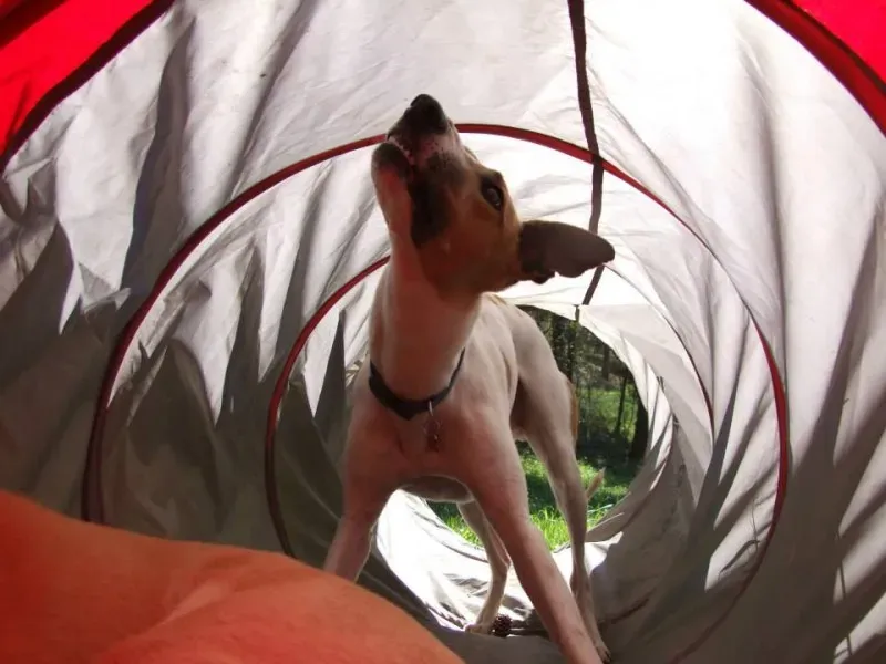 1972461 10202835666324059 220070042 n