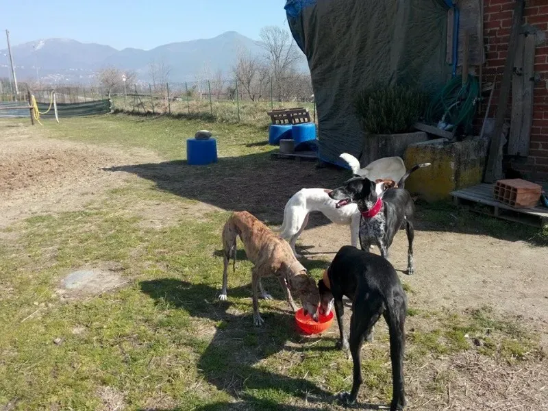 1972540 222077301320393 1941588337 n