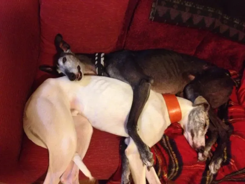 1972546 10203607432240230 709624734014083850 n