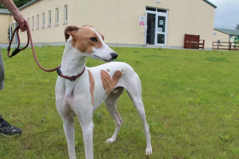 19726968 1363713047045953 1506818020 o