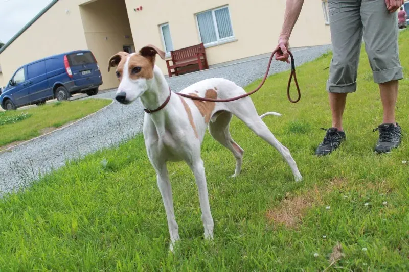 19727376 1363712230379368 972238192 o