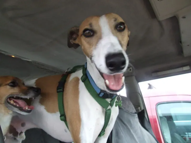 1973878 10204136640807608 449709869490048894 o