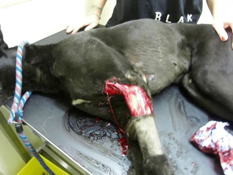 1974025 696954367041172 3283125814412447684 o