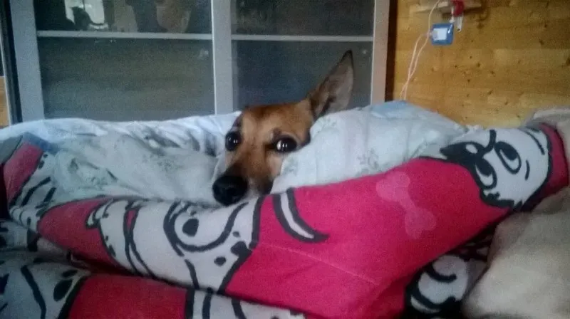 1975021 651487268245782 161094091 n