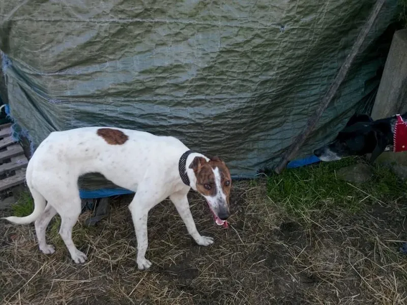 1975149 222077271320396 669672358 n