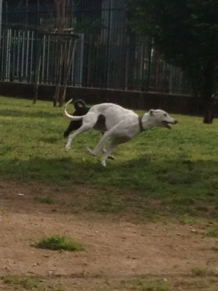 1975205 10203849387663960 3138024312314878495 n