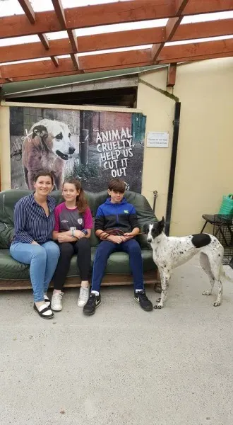 19756879 1750625744955117 5172572403219761417 n