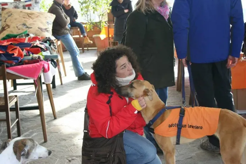 1976932 772123426204848 2752894236135956087 n