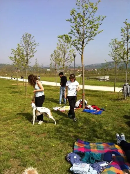 1977146 729196503799742 367525538993749578 n