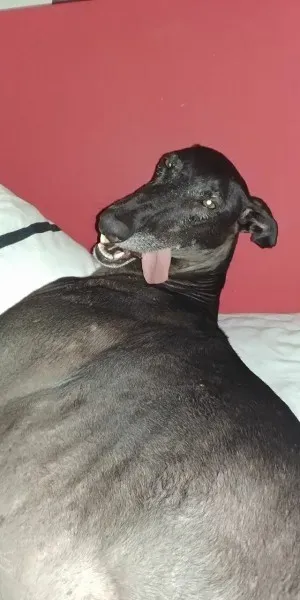 19780631 10213293969214019 6035231183504535930 o