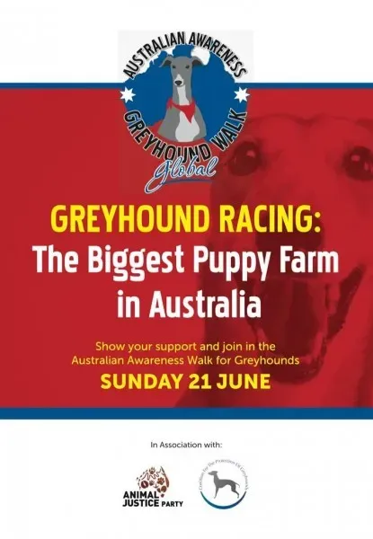 1978550 1438733539767715 6749215151268786241 o