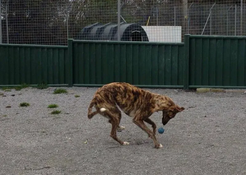 1978688 770572782960423 8720491527857988536 n