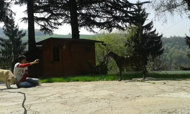 1979177 10202907355756250 9093362920734292561 o1