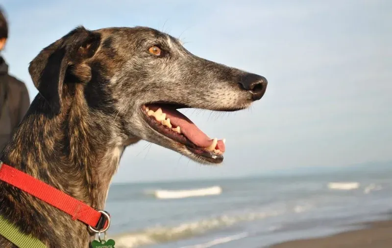 1979200 10204136600366597 4231019962704604437 o