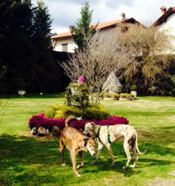 1979475 1517982831791888 6609233543863590970 n