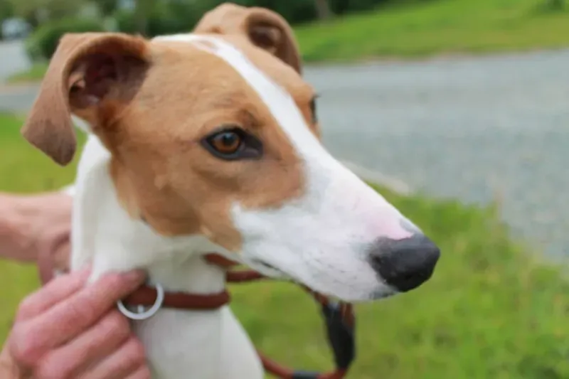 19814154 1363710573712867 1230442996 o