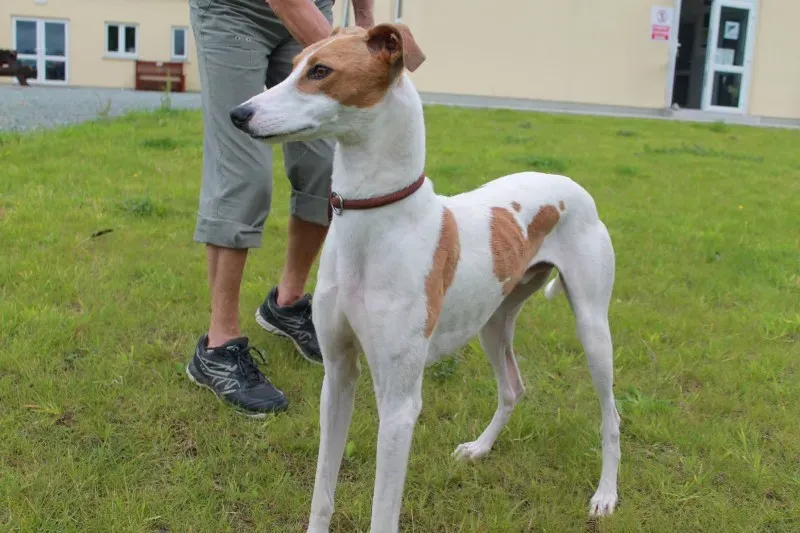 19814411 1363718197045438 378803985 o