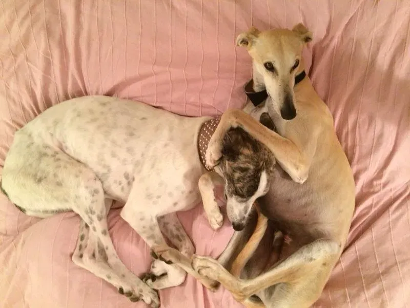 1981818 10202129604094006 1322295355 n