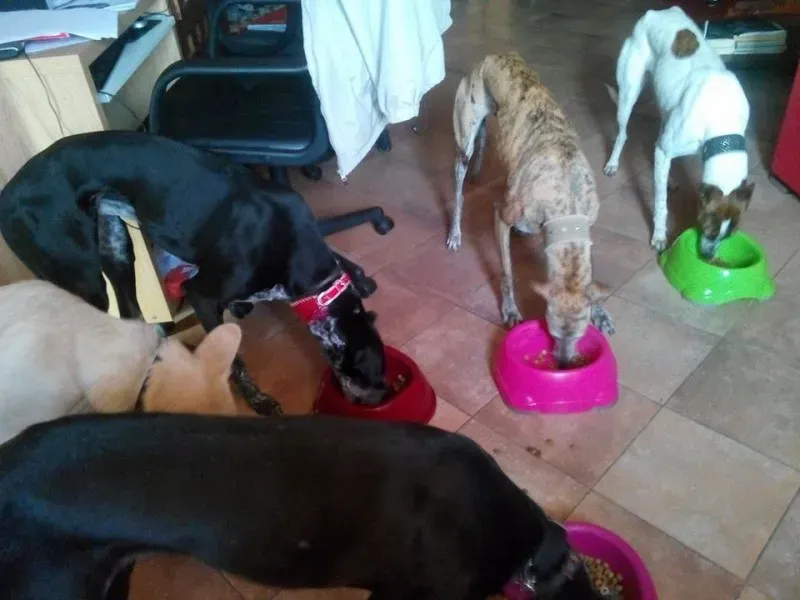 1981842 221417801386343 1592212606 n