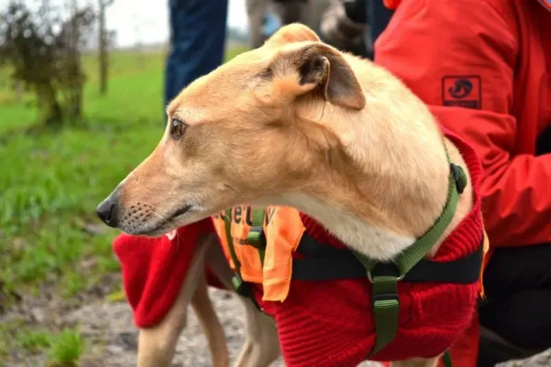 1981874 737244596359398 1327304533263823085 n