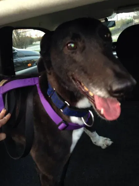 1981930 750135778337812 22593443 n