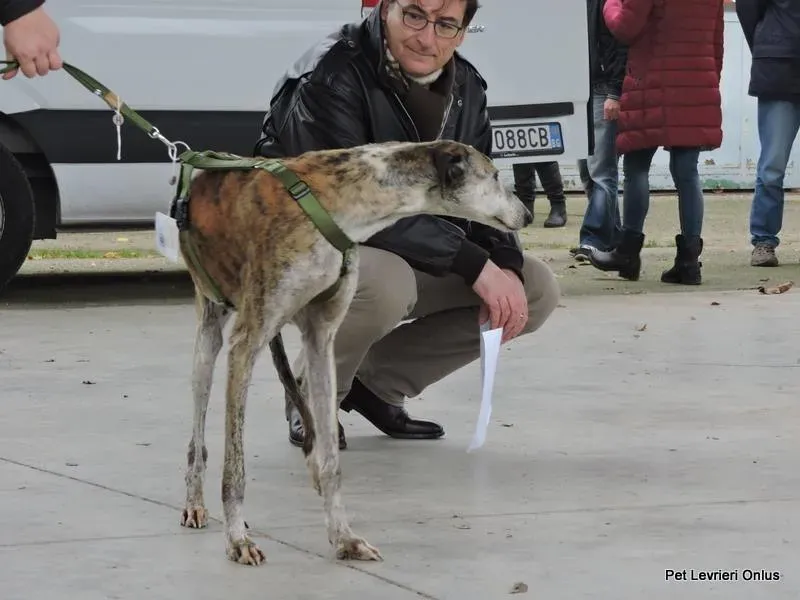 1982031 918530398230816 8298543536822439772 n