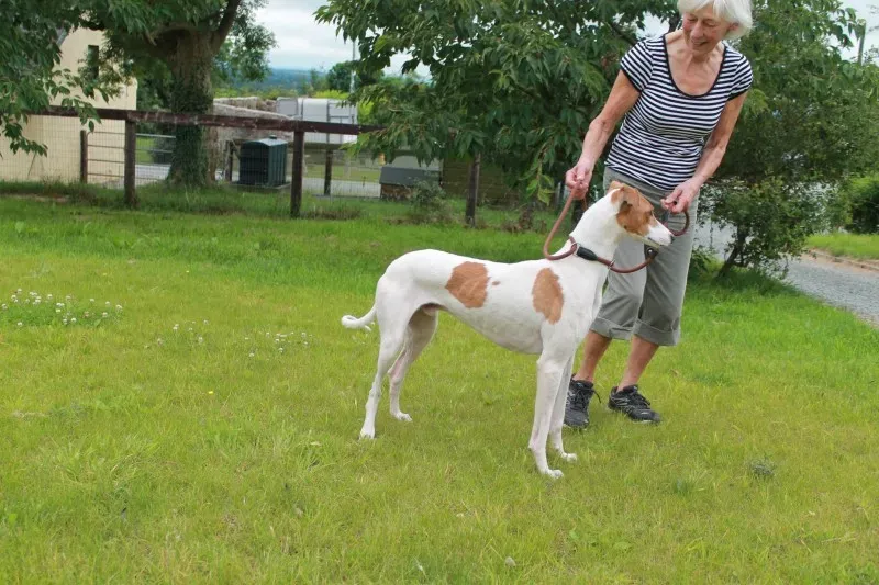 19821113 1363718607045397 1678831522 o