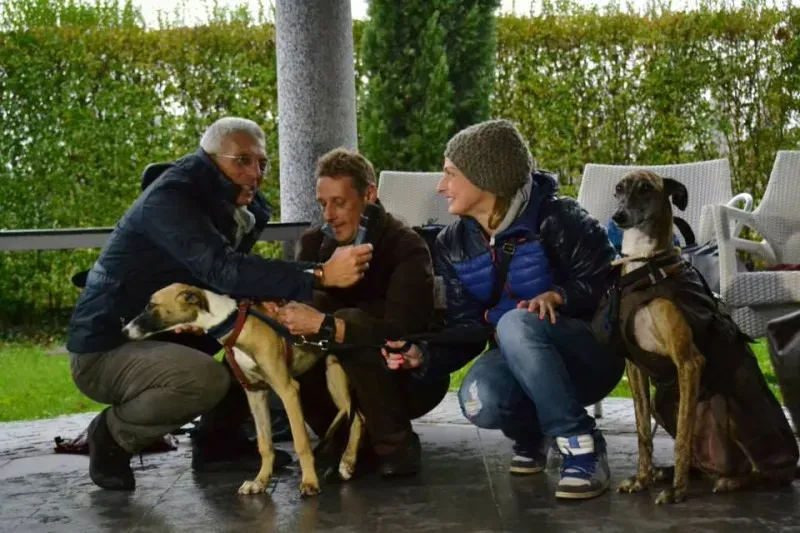 1982249 730085943741930 948891021725437044 n