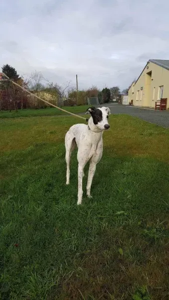 19885537 1581040291987568 1694782874 o