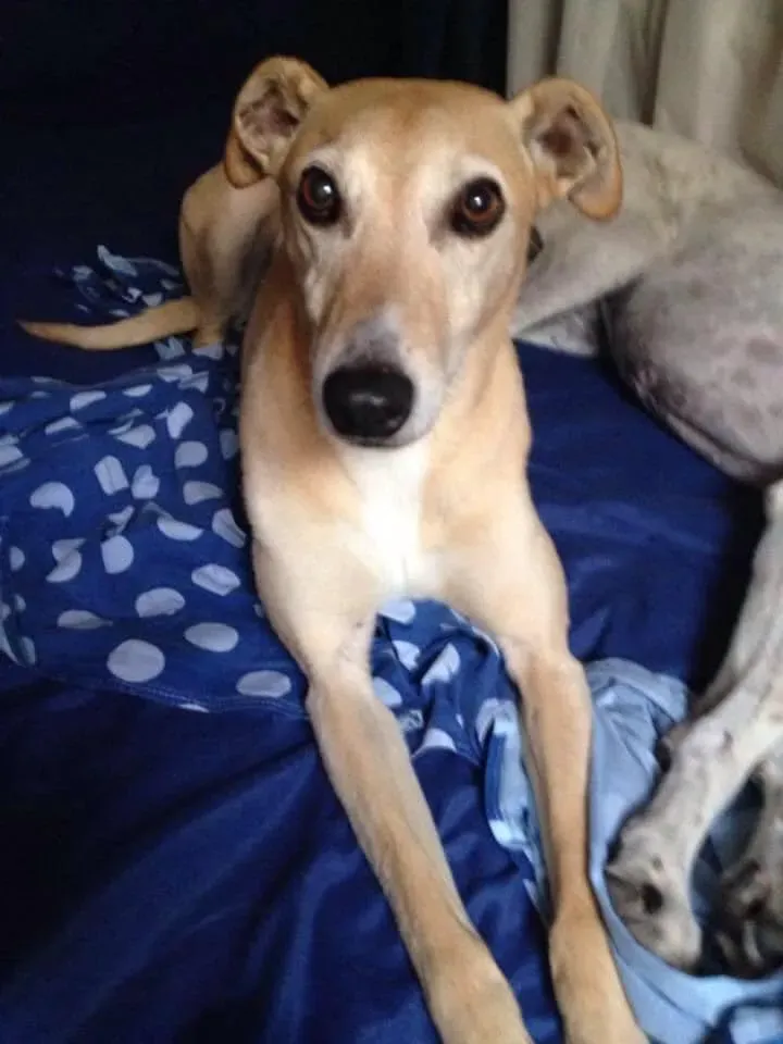 198860671 10219487755006512 4124621650112842874 n