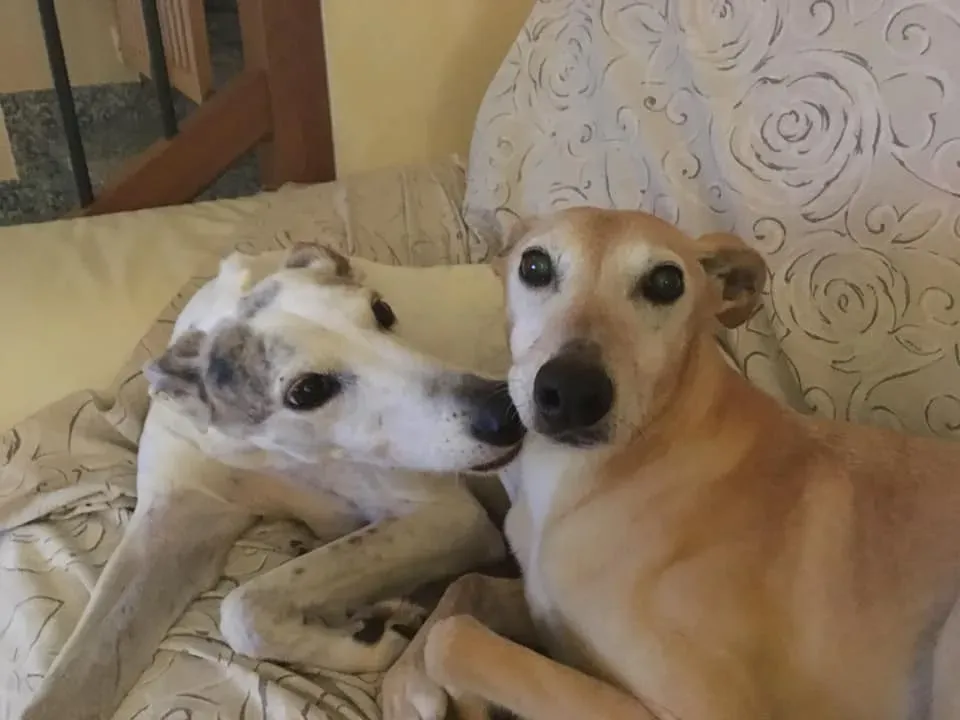 198921577 10219487757246568 4039222934878541319 n