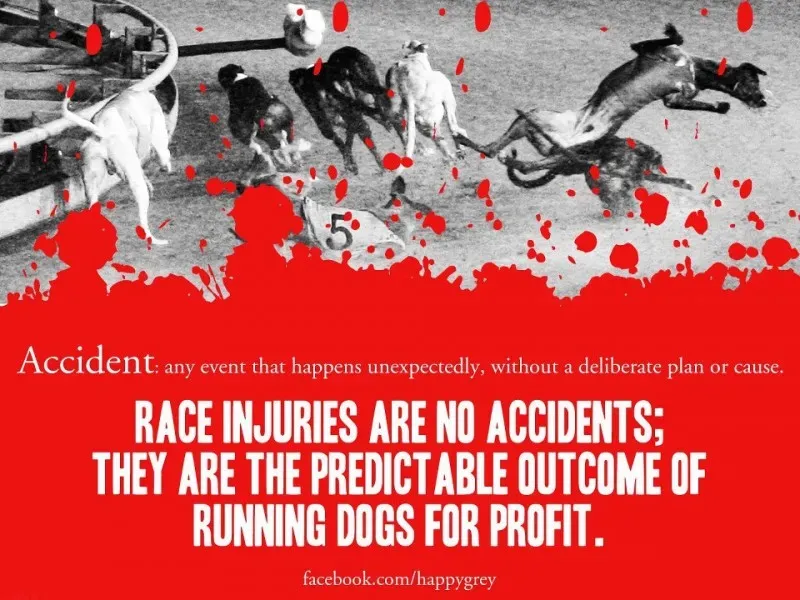 199530 416933541693150 1994063085 n