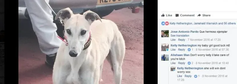 19959464 1386369604804504 4532723600443599035 n