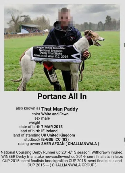 19961105 1386377684803696 2735008106285776540 n