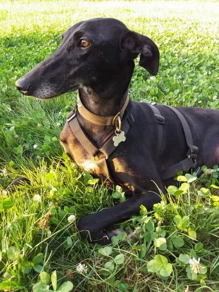 19989360 10213356479696742 1788177536568112200 n