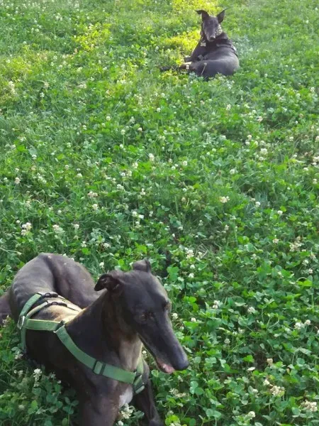 19990568 10213356478536713 2915892259202948125 n