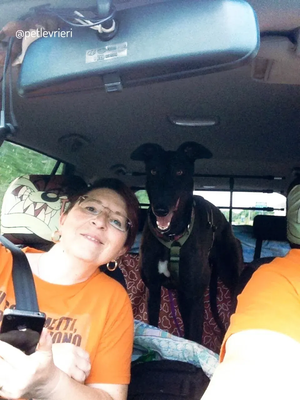 19  Rosie petlevrieri mercatodellacarne cina macao onlus