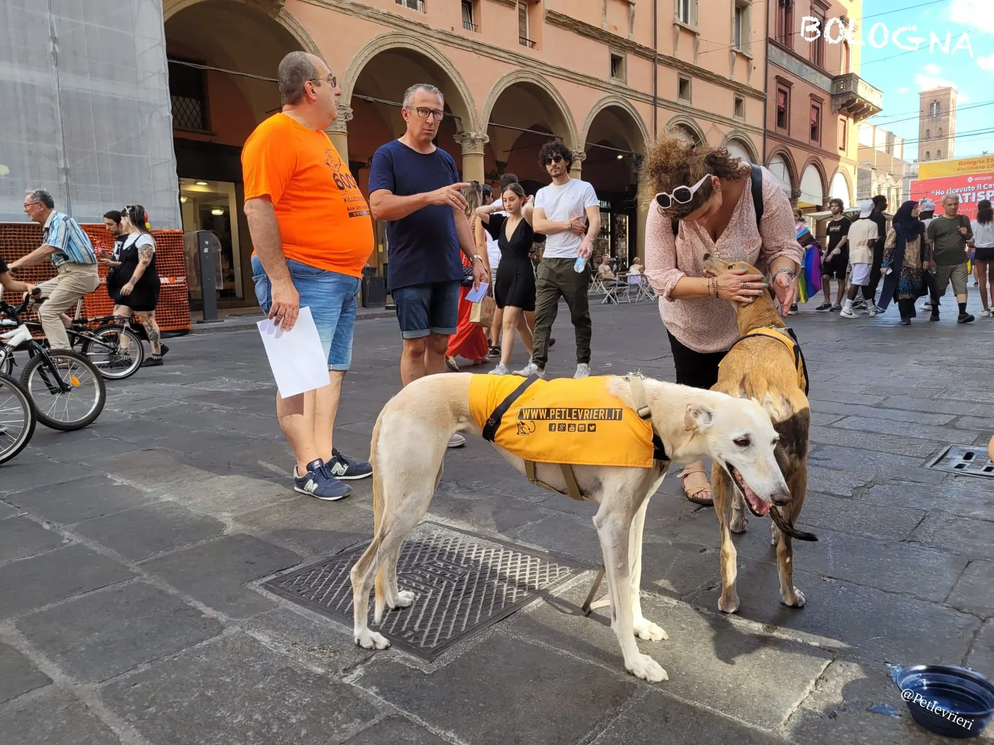 19a4d0a8 e870 470e b9d3 755f767efeaf risultato