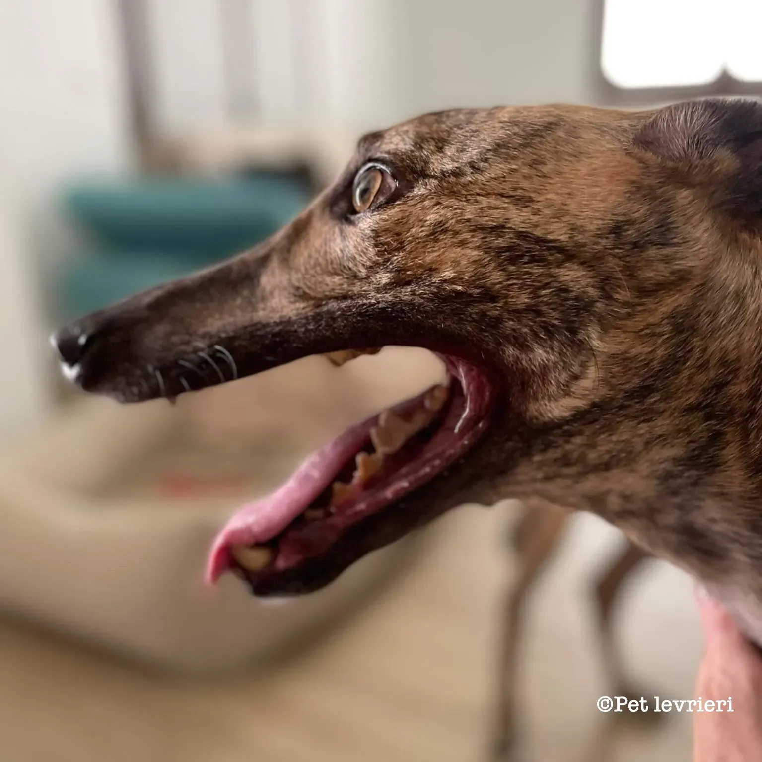 1C2E9D14 BC94 4915 BF38 4AB4BD971101