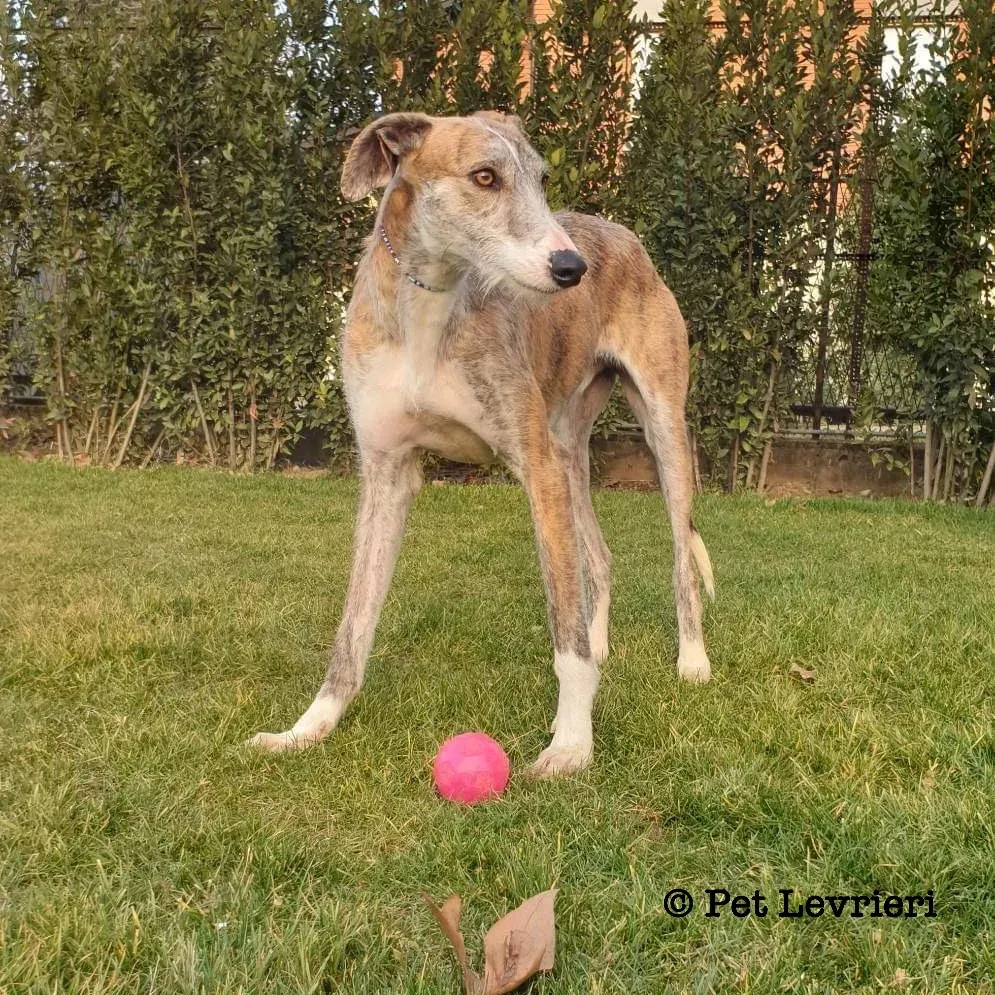 1F01A058 7EEE 4DD7 BB68 59C1F8C199B6