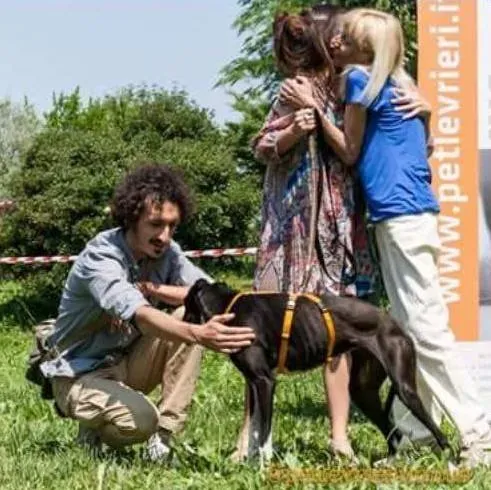 1 musa adozione galgo
