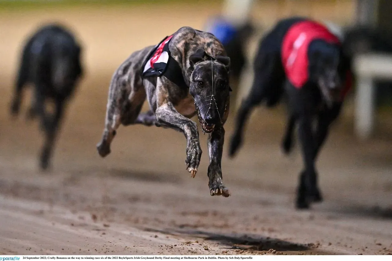 1aaa844a 91a8 457a 9c25 c1cd6940b663