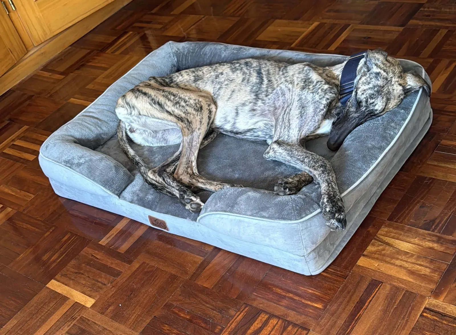 1b074358 e146 4653 9bbc 573726ac74da