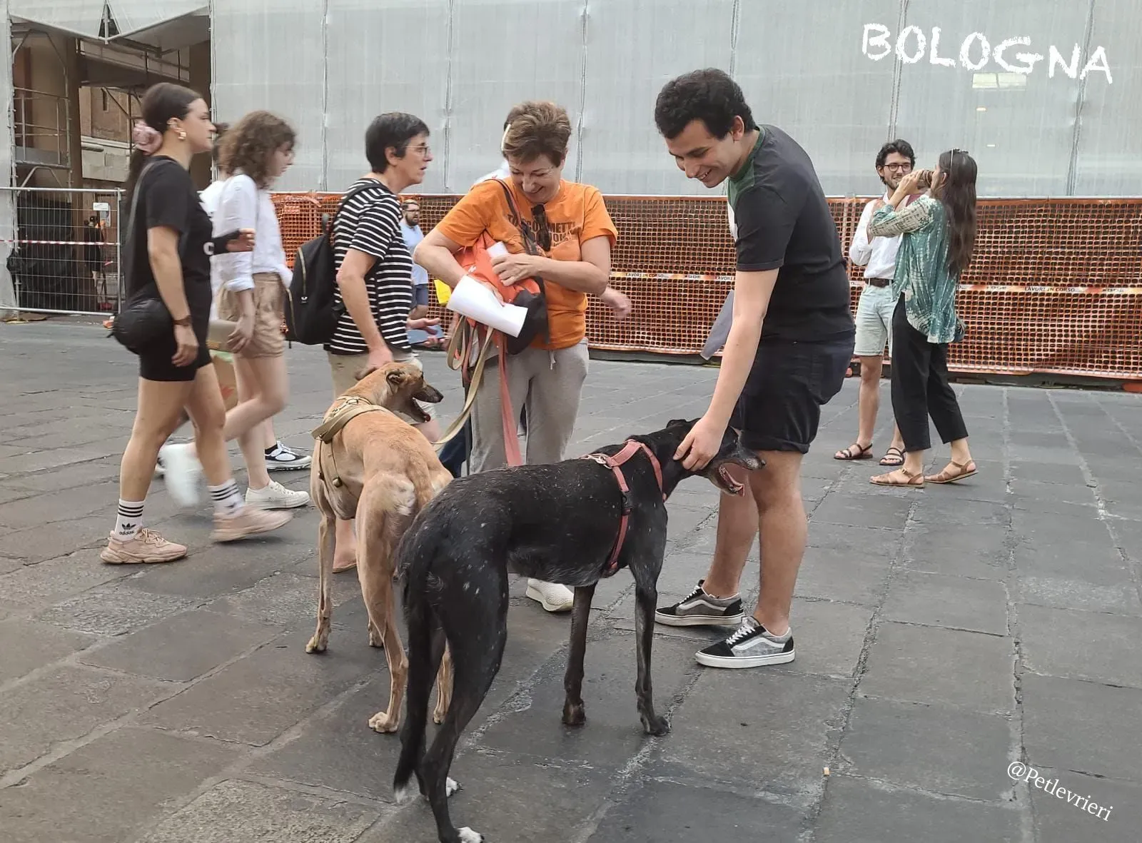 1baf7114 66ba 49eb afad 71454f51a2ed risultato