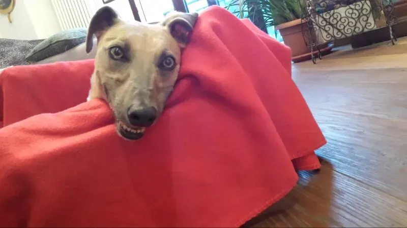 1eb429c3409c193345a49b4a2f7e7e06