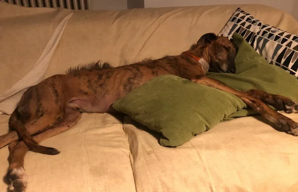 1f673e5f 3084 4570 9075 10974c3157c0